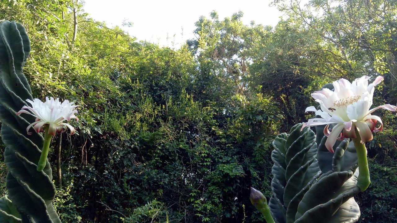 Posada Camboata Aristóbulo del Valle Buitenkant foto